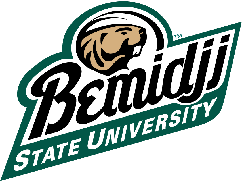Bemidji State Beavers 2004-Pres Alternate Logo diy fabric transfer